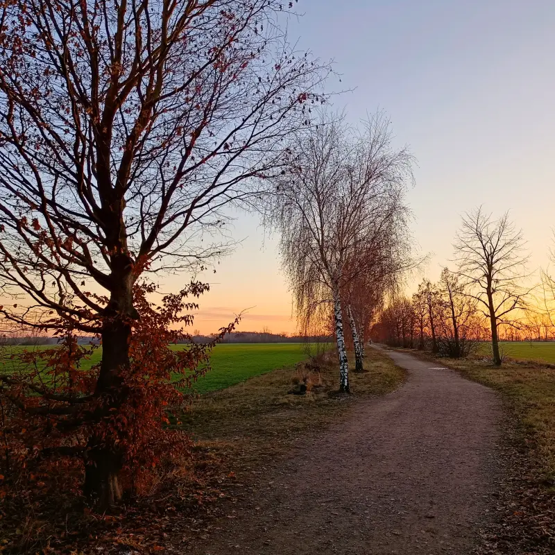 Sonnenuntergang an der Stadtgrenze