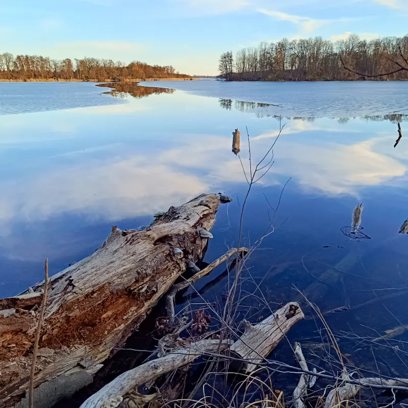 Großer Plessower See