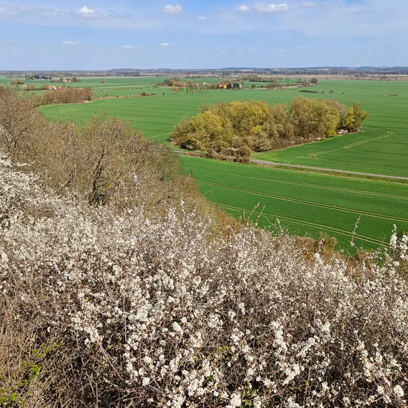 Blick in das Oderbruch