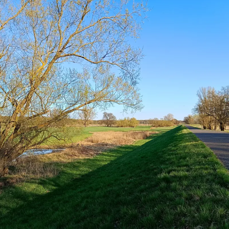 Oderauen bei Frankfurt
