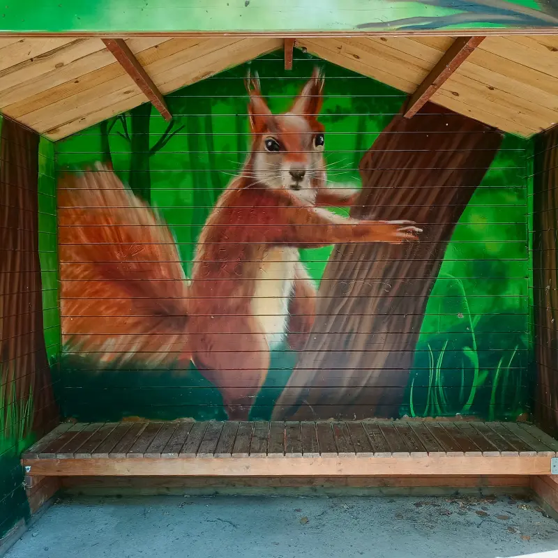 Schutzhütte mit Eichhörnchen