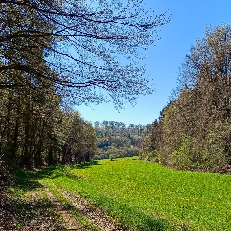 Wiesental bei Keldenich