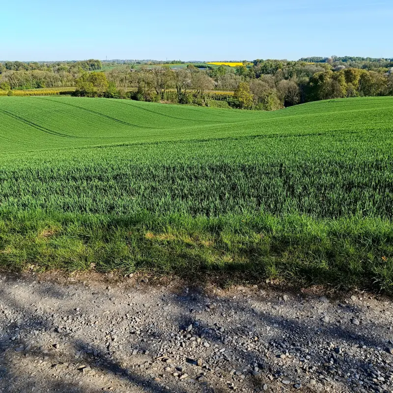 Blick in das Düsseltal