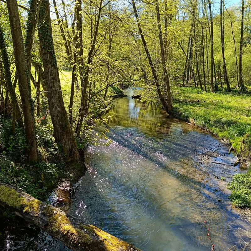 Düssel
