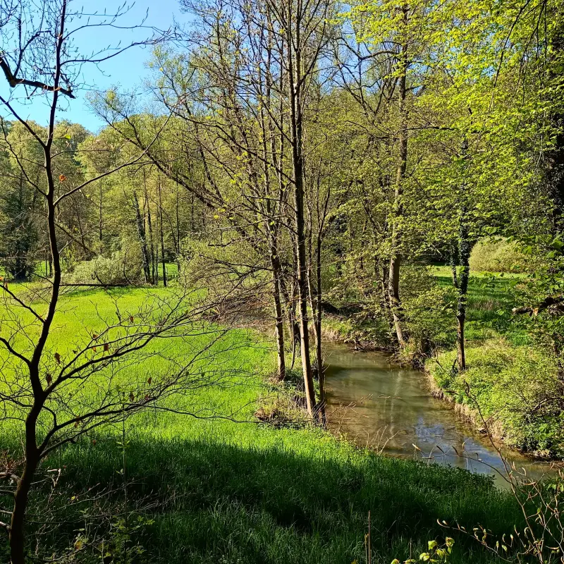 Düssel