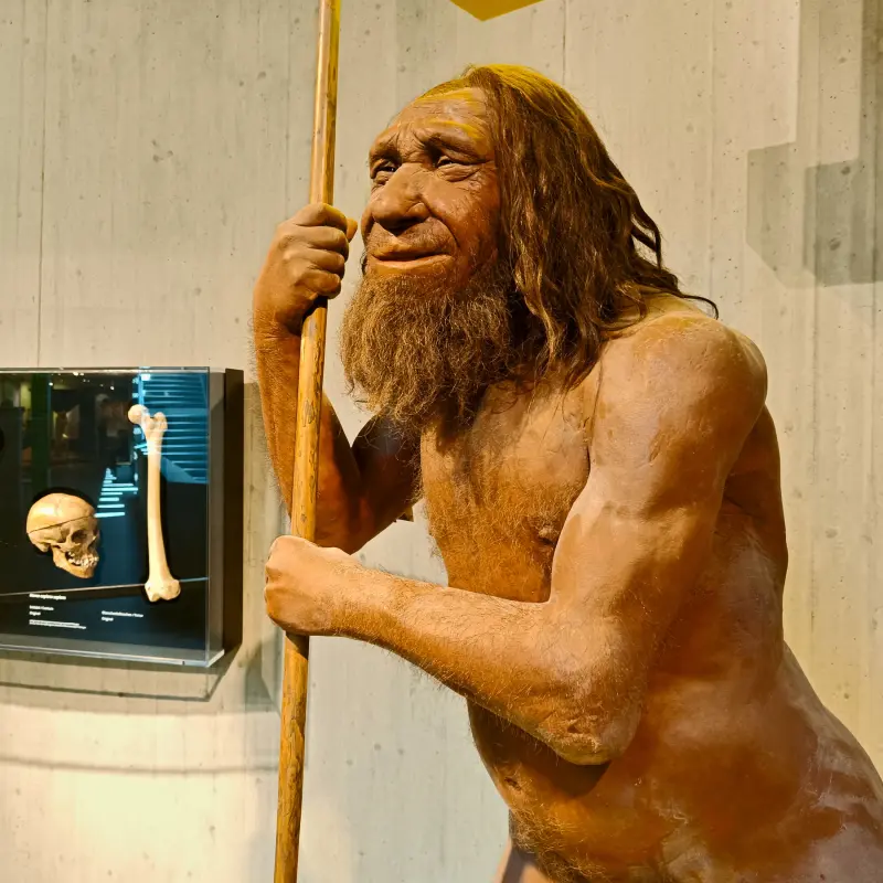 Neandertaler