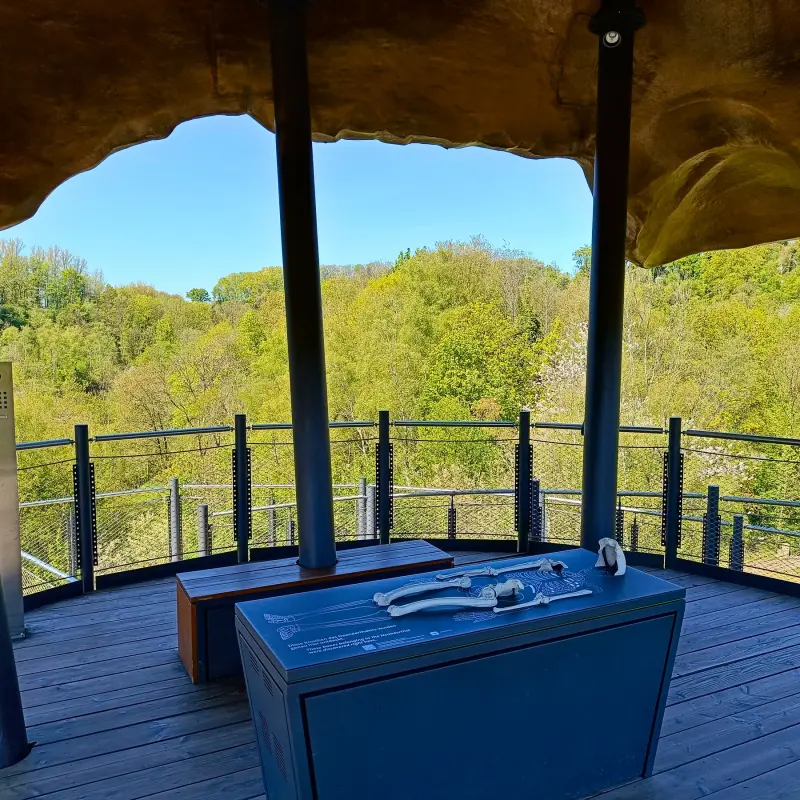 Fundstelle des Neandertalers