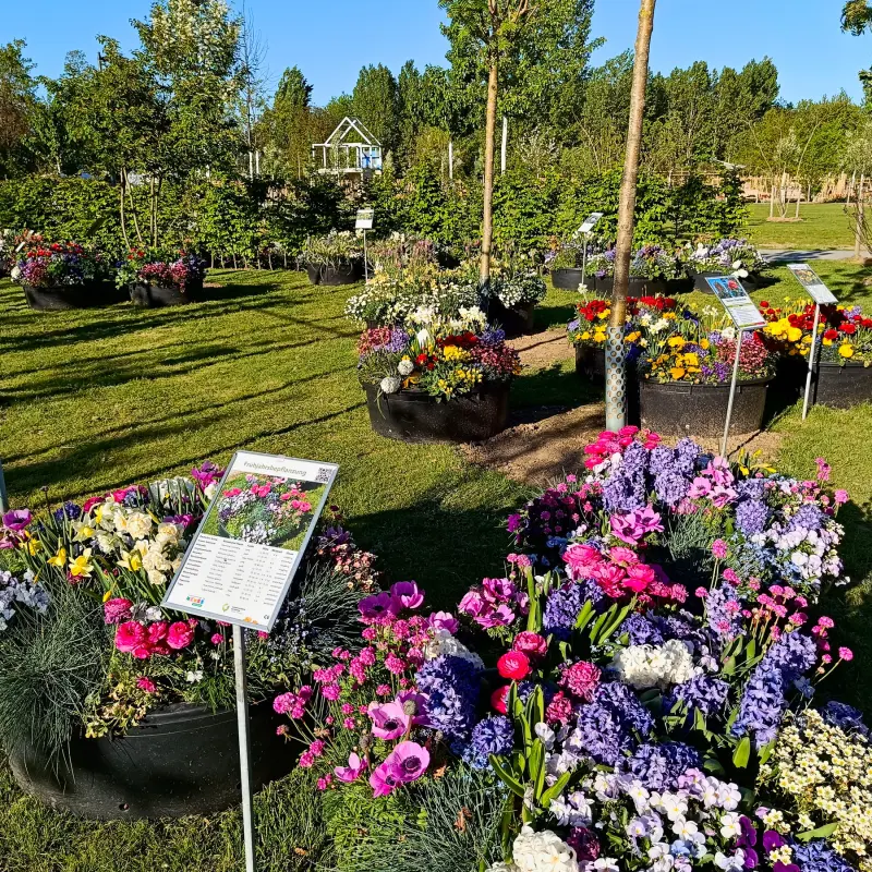 Frühling auf der LAGA