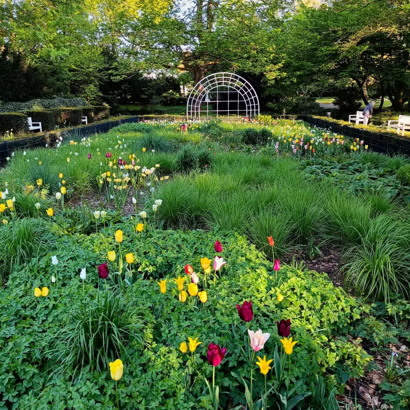 Rosengarten
