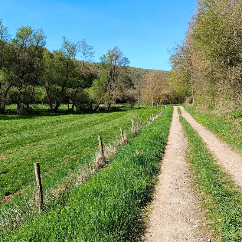 Wiesen am Eschweiler Bach