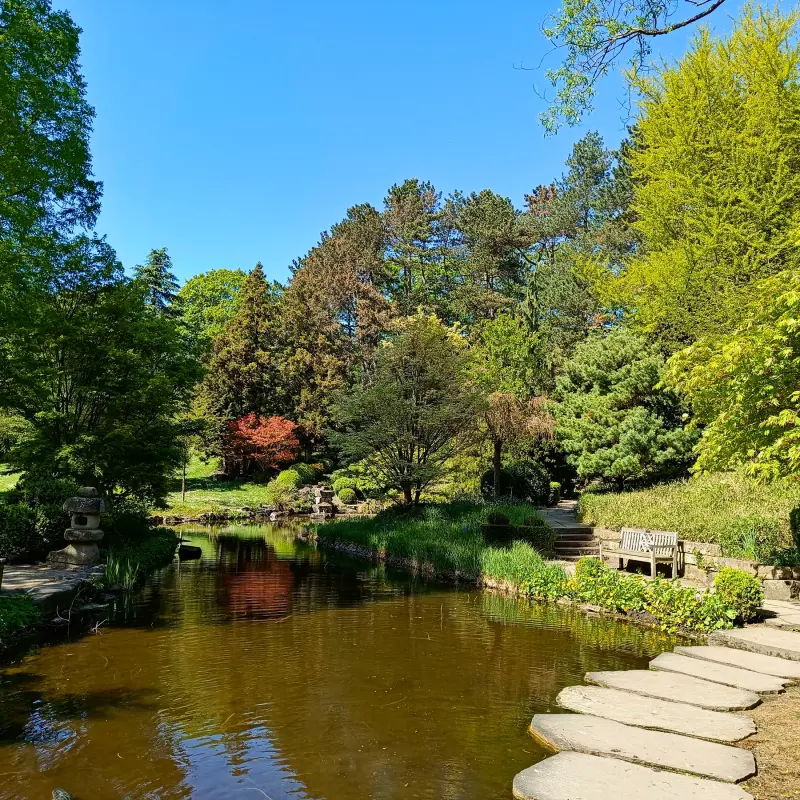 Japanischer Garten im Westfalenpark