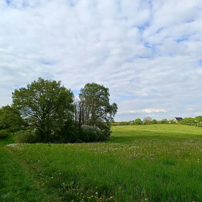 Wiesen bei Louisenhof