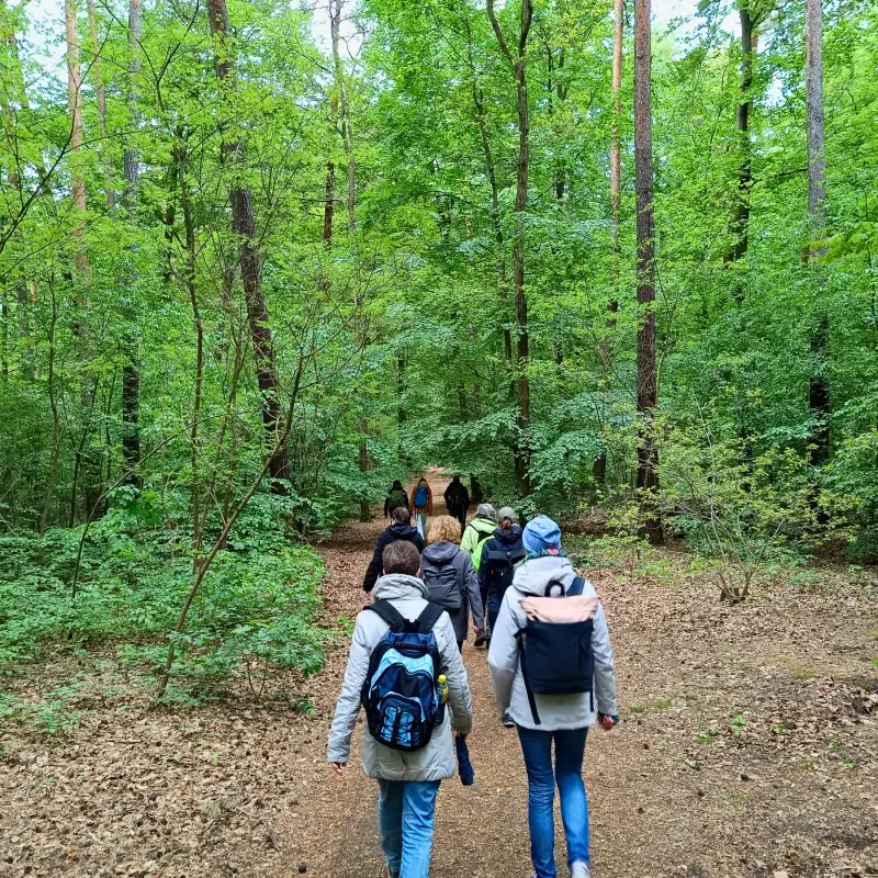 Düppeler Forst