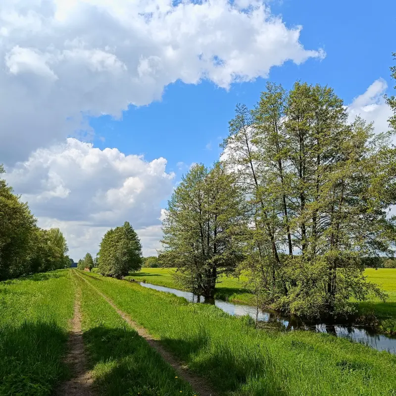 Weite Blicke und Wasserwege im Unterspreewald bei Lübben