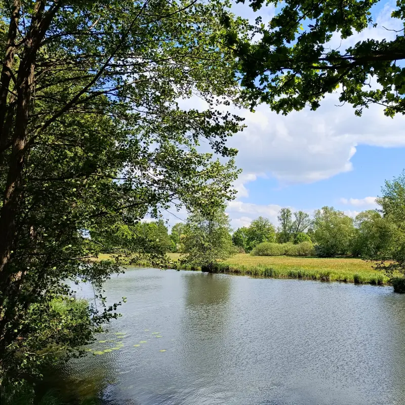 Spree