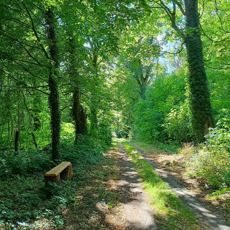 Waldweg bei Nennhausen