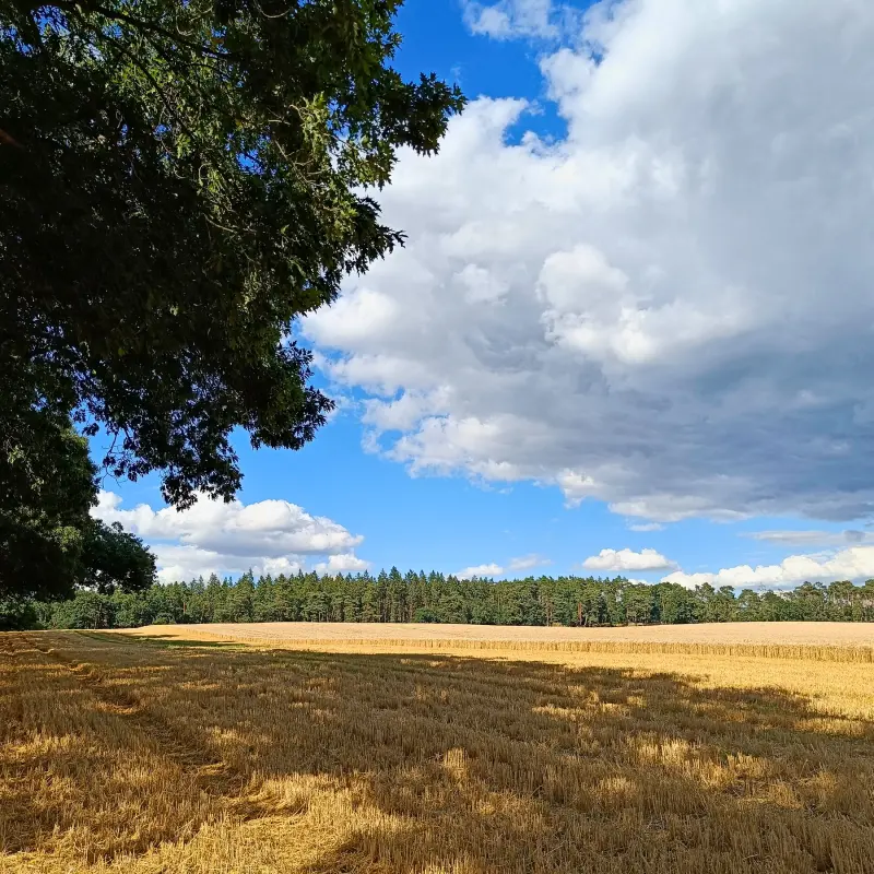Feld bei Nennhausen