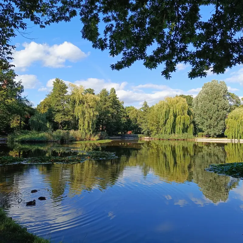 Dorfteich in Lichtenrade
