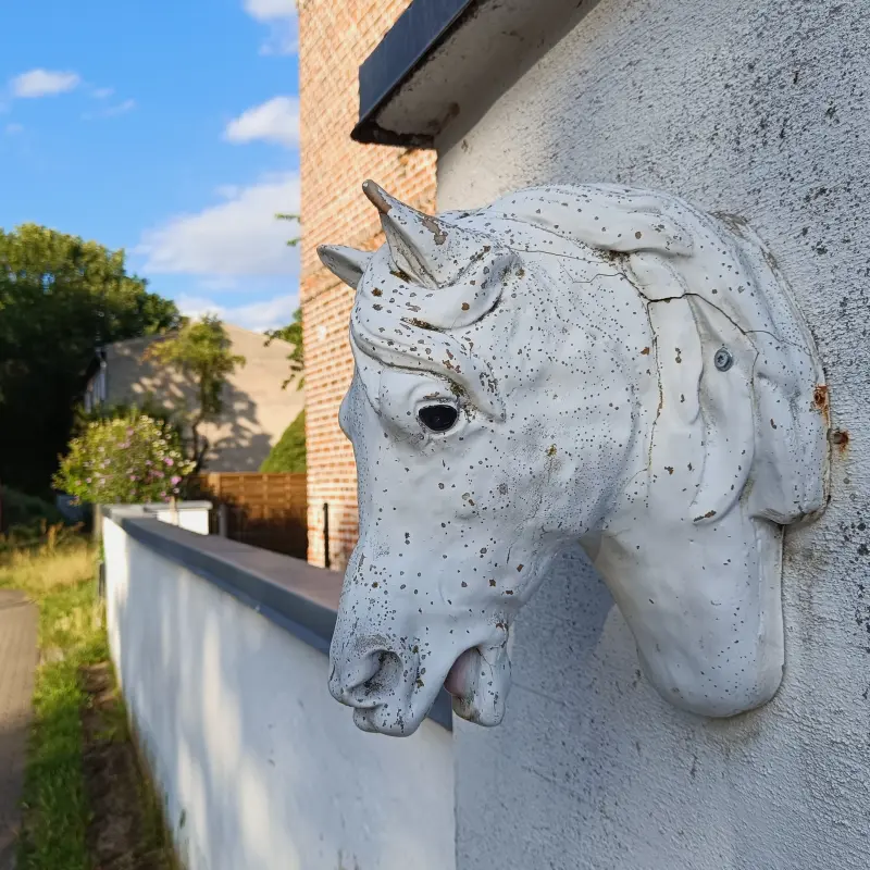 Pferdehof in Großziethen