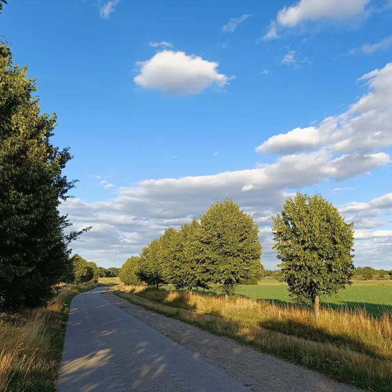 Feldweg bei Großziethen