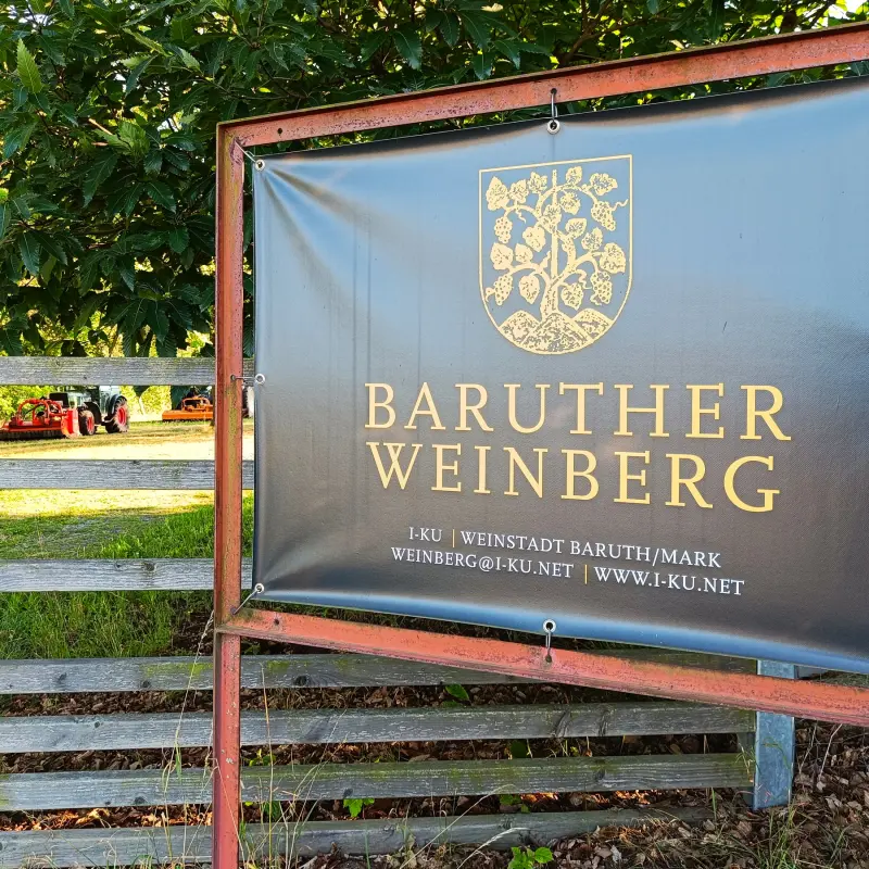 Baruther Weinberg