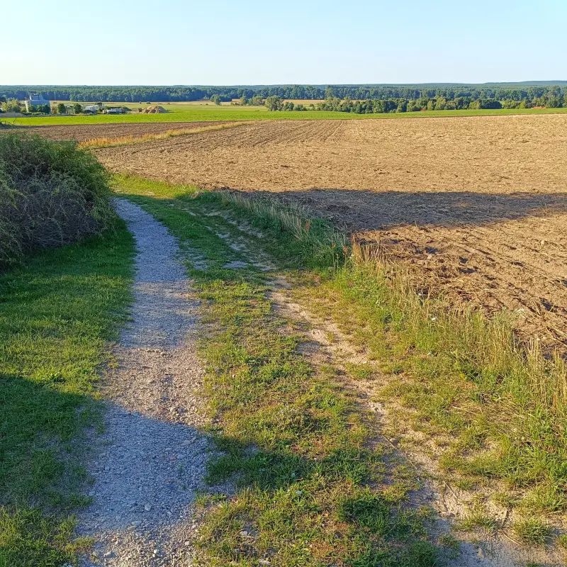 Blick in das Urstromtal
