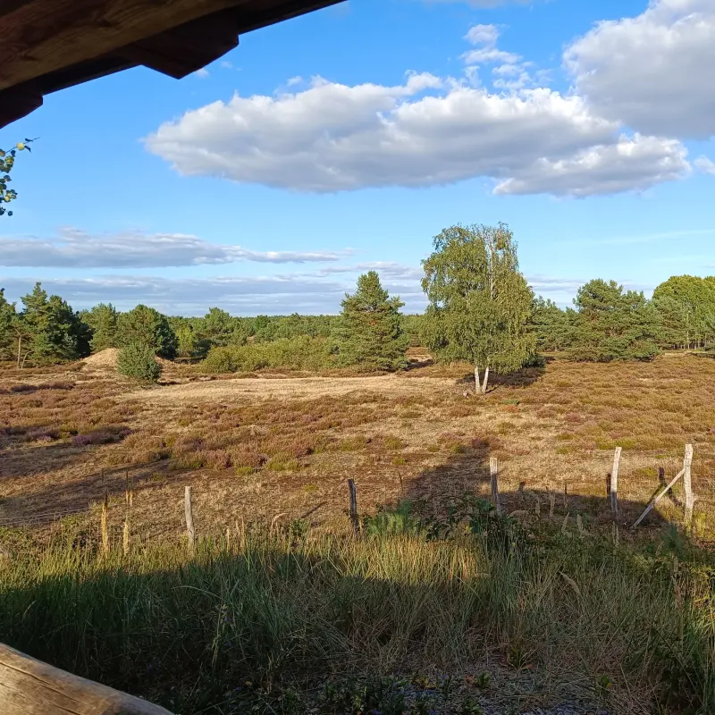 Wildgehege der Schönower Heide