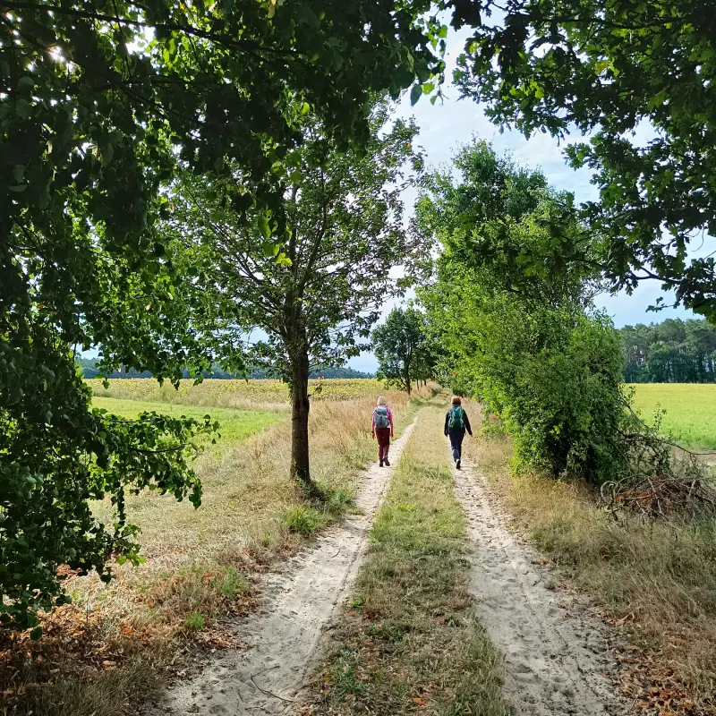 Obstallee bei Fresdorf