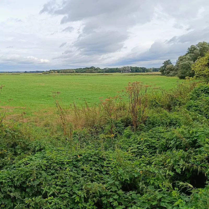 Nuthe-Nieplitz-Niederung