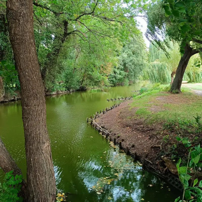 Nieplitz in Blankensee