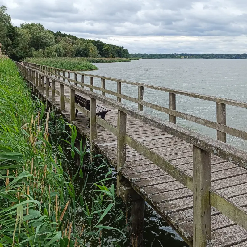 Bohlenweg am Blankensee