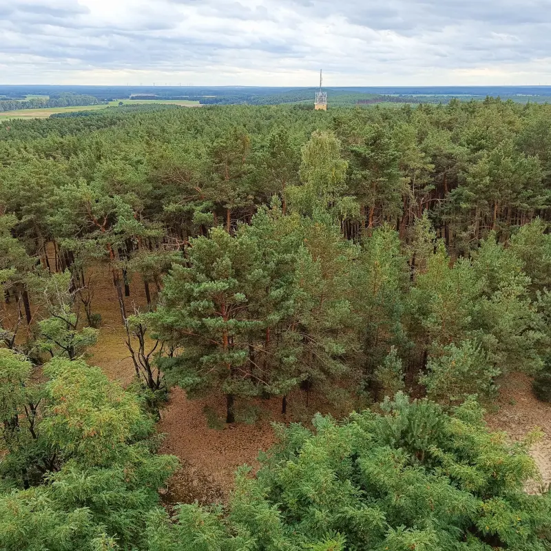 Vorderer Löwendorfer Berg