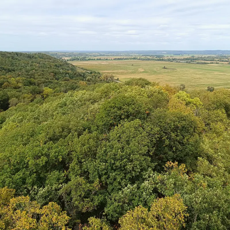 Blick vom Bismarckturm