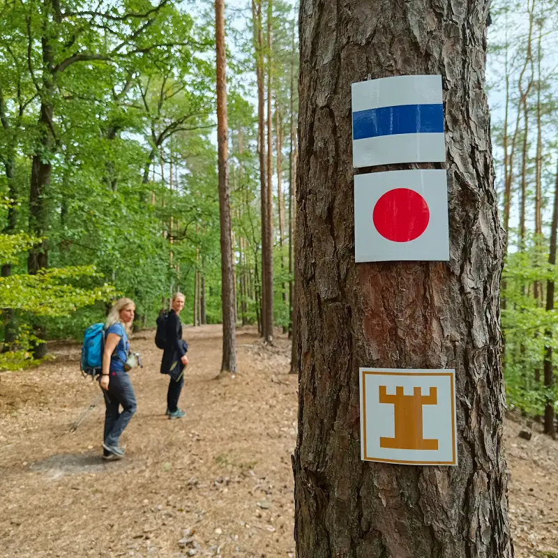 Unterwegs auf dem Turmwanderweg