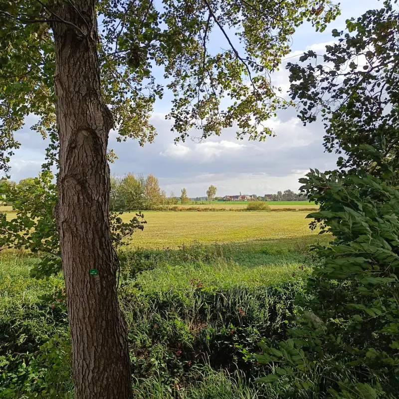 Wiesenlandschaft bei Goßmar