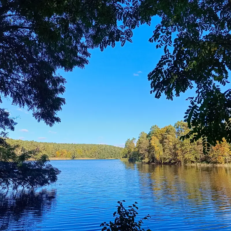 Herzberger See