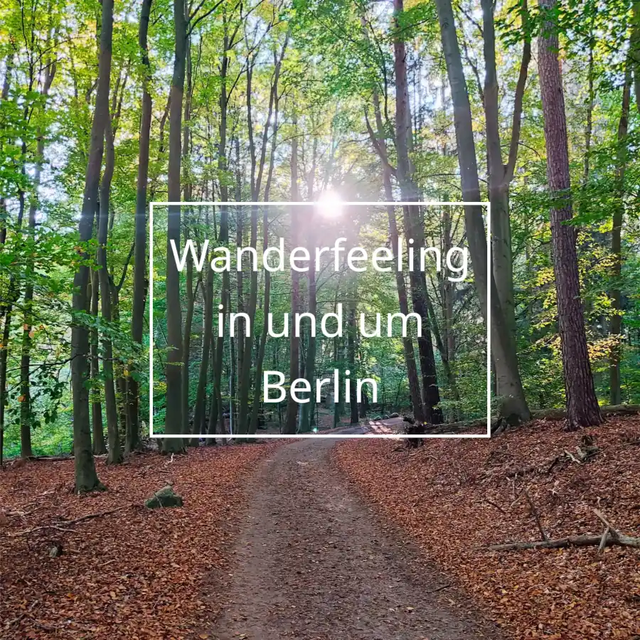 Zugverbindungen mit dem Deutschlandticket von und nach Berlin Wanderfeeling in und um Berlin